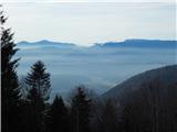 Bašelj - Planina Kališče